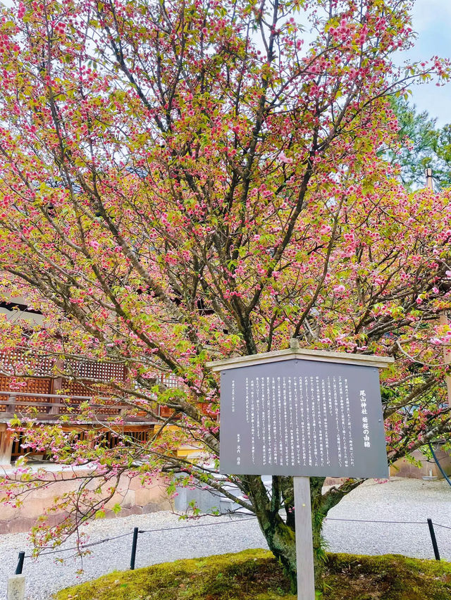 【金沢】縁結びに必勝祈願に！和洋折衷の美しい神門を持つ尾山神社⛩