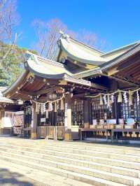 【検見川神社/千葉県】検見川さくら祭り2024