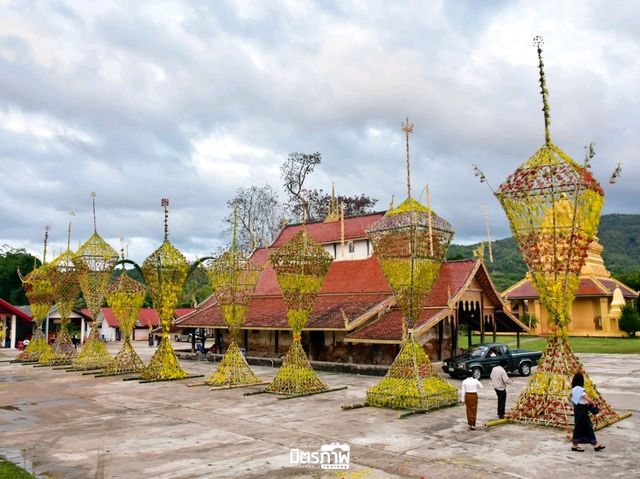 ประเพณีแห่ต้นดอกไม้ บ้านแสงภา อ.นาแห้ว จ.เลย