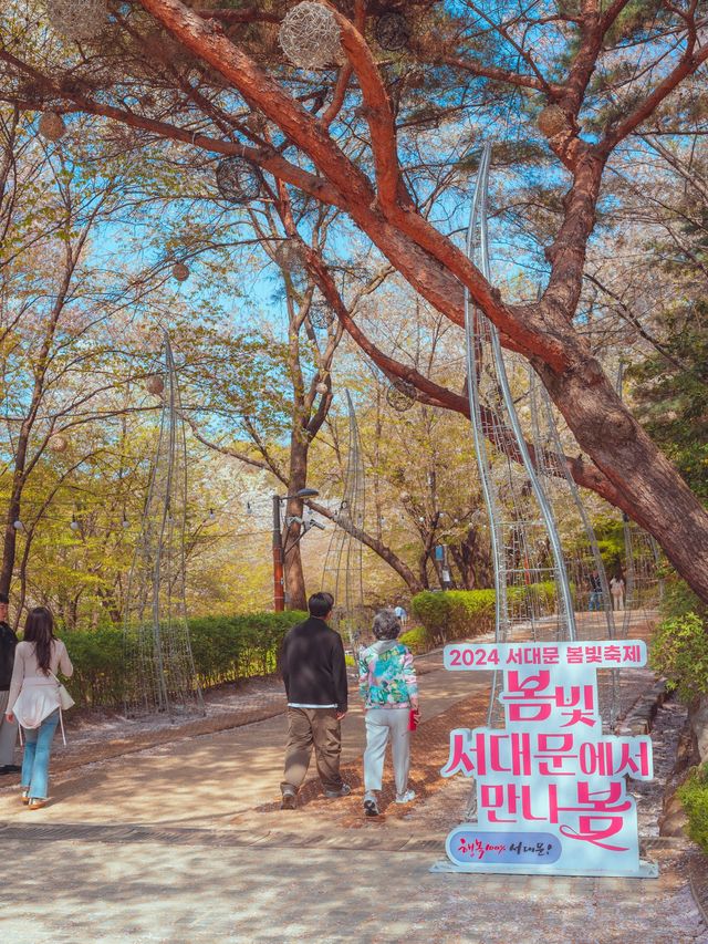 서울 한복판에서 오색 튤립과 벚꽃을 동시에 볼 수 있는“연희숲속센터”  