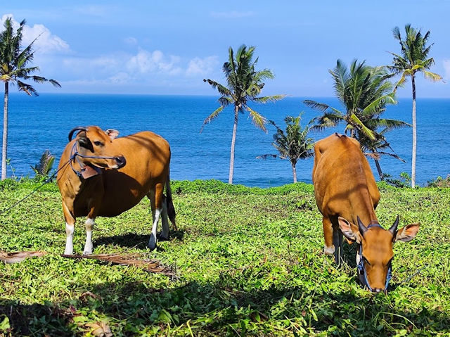 Balian Beach