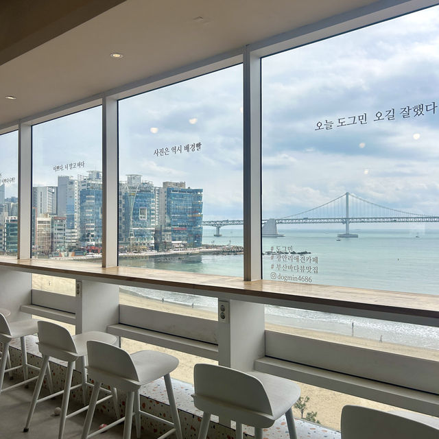 광안리 여행 이색 데이트 코스, 도그민