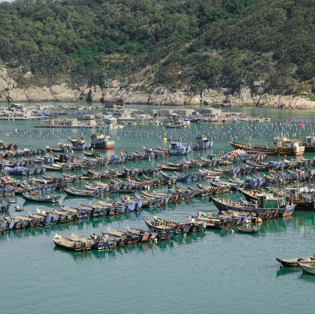 正濱漁港～難忘海鮮饗宴