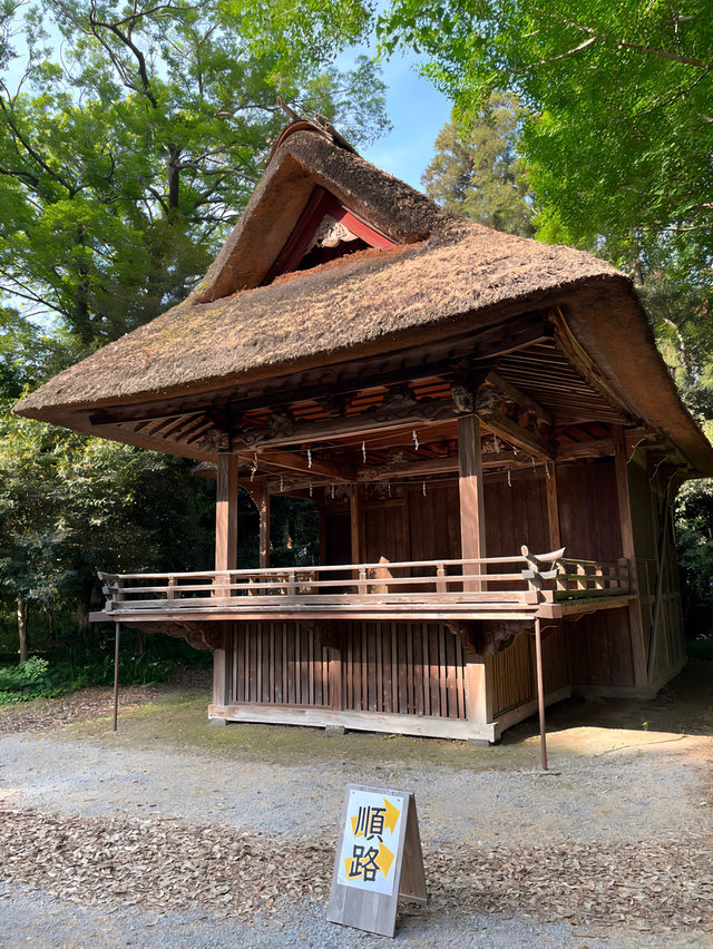 【玉敷神社/東京都】緑豊かな社叢に囲まれる