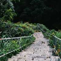 上海西山瀑布：驚人景緻