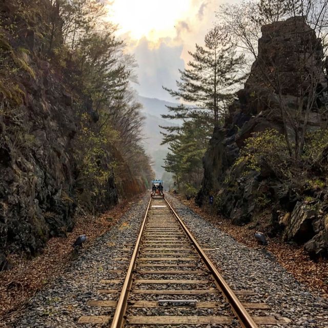 「韓國旌善鐵路自行車：春天好去處，最高時速20km」
