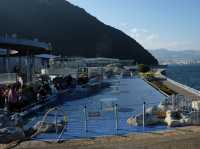 【福岡大分】海洋之卵水族館:海豚、海象表演,特別旅遊體驗
