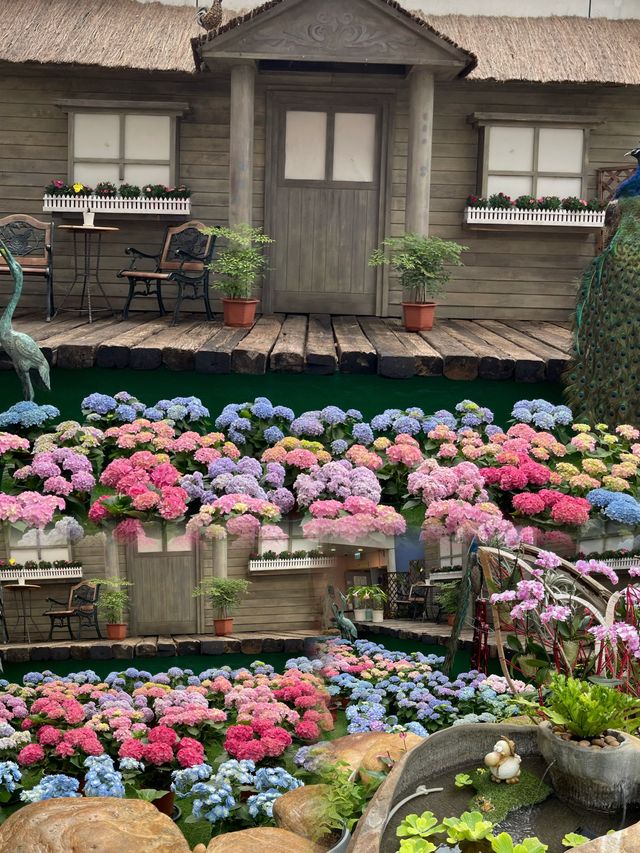 🌸🌼✨ 春天好去處：繁花似錦霍士傑溫室 ✨🌼🌸