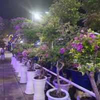 the Meraki Garden
