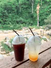 Stay Wild & Café ที่พักและคาเฟ่ริมลำธารสุดชิล🌿