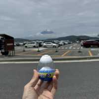 箱根一日快閃油再回新宿
