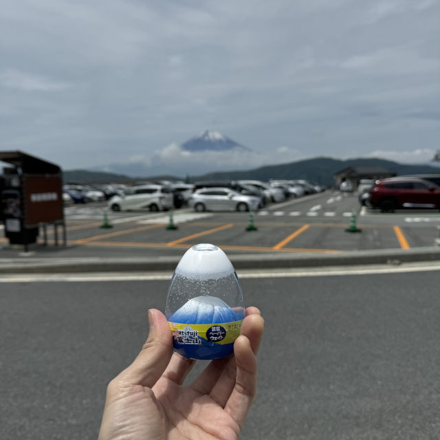箱根一日快閃油再回新宿