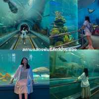 มัดรวม 16 ที่กินที่เที่ยวที่พักระยอง 