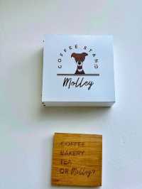 💥 Molley Coffee Stand เสน่ห์ที่น่าค้นหา