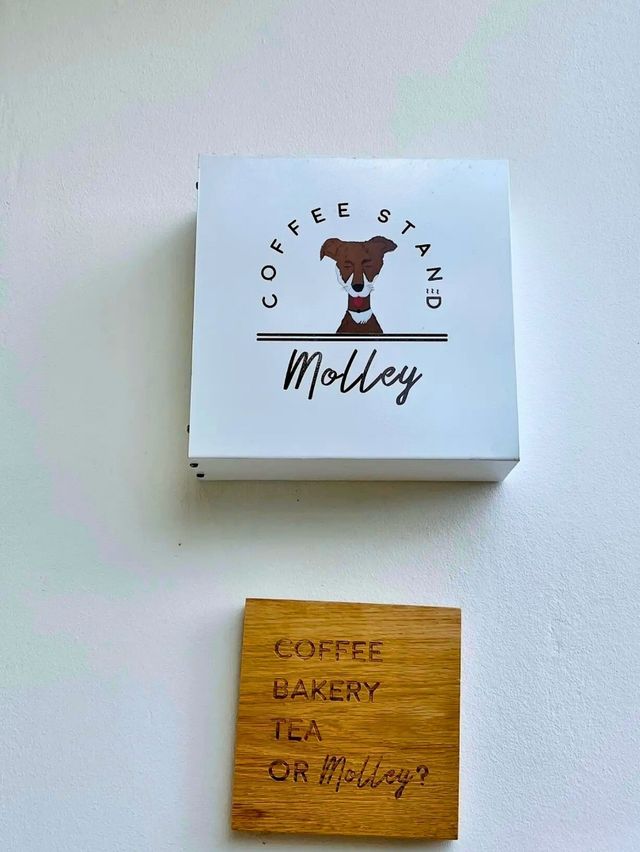 💥 Molley Coffee Stand เสน่ห์ที่น่าค้นหา