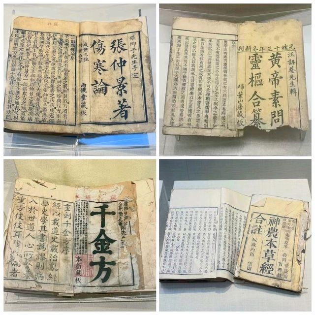 ✨廣州~廣東中醫藥博物館✨