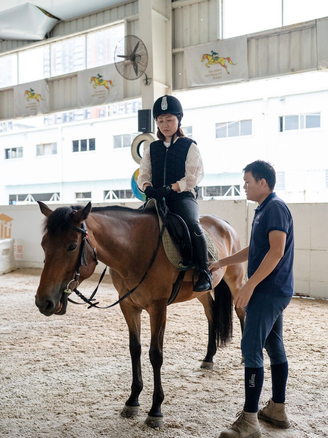 【深圳-一日體驗騎馬餵馬 🐎】