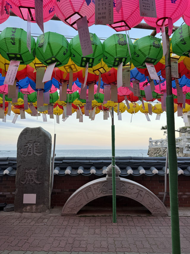 【釜山】願いが1つ叶うパワースポット海東龍宮寺