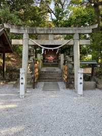 【倉敷】合格祈願だるま