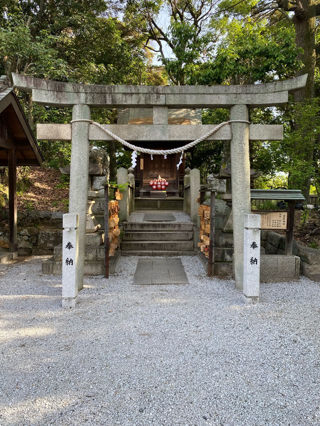 【倉敷】合格祈願だるま
