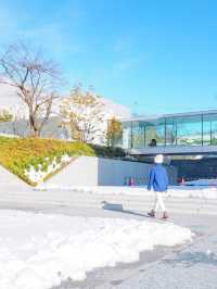 【長野】建物すべてがアートな美術館🎨
