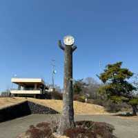 飛鳥山公園：賞花、散步、家庭聚會的理想選擇，寧靜自然樂園