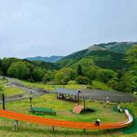 飛鳥山公園：賞花、散步、家庭聚會的理想選擇，寧靜自然樂園