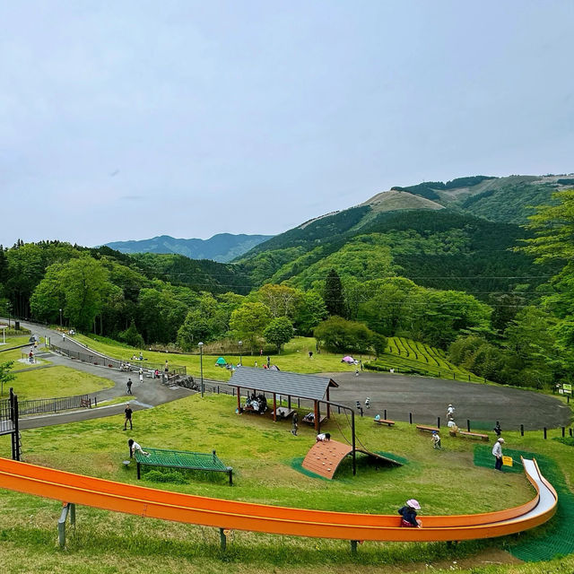 飛鳥山公園：賞花、散步、家庭聚會的理想選擇，寧靜自然樂園