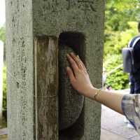 京都のあじさいスポット【三室戸寺】