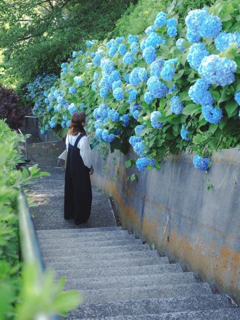 【池上】初夏と紫陽花とカフェ巡り𓍯𓇠
