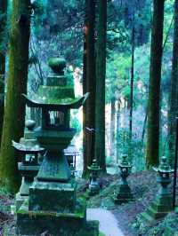 【南阿蘇】異世界に迷い込んだかのような神秘の世界へ！上色見熊野座神社