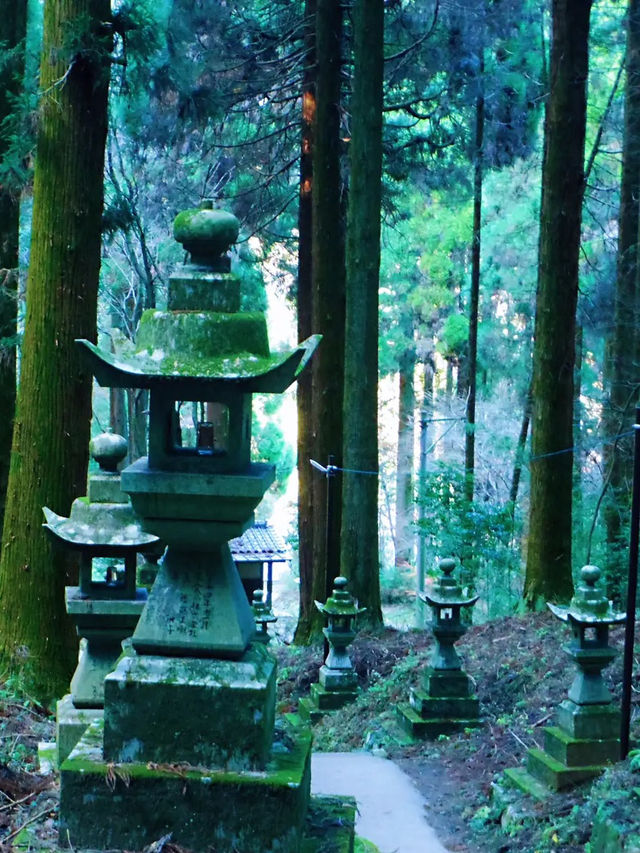 【南阿蘇】異世界に迷い込んだかのような神秘の世界へ！上色見熊野座神社