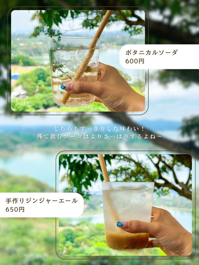 沖縄のやんばるの森を進むと見えてくる、秘密基地🌱