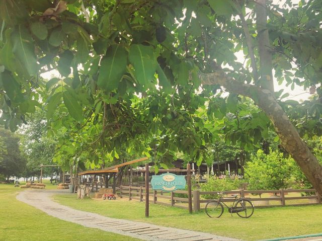 Trot Cafe @ Khaoyai 