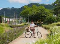 เที่ยวเขาใหญ่ได้ตลอดปี คำนี้ไม่เกินจริง !!