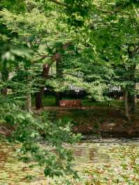 경남 사진찍기 좋은 여행지, 고성 장산숲🌳