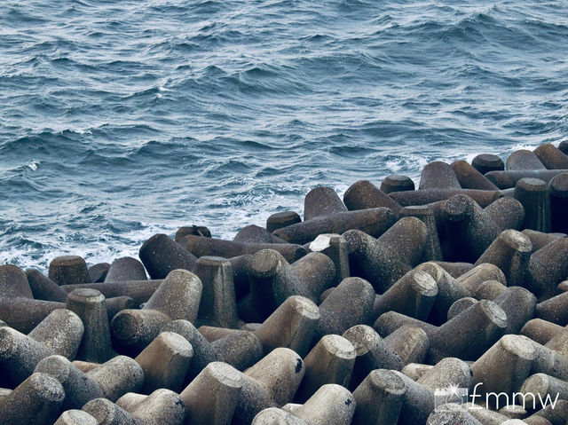 Umihotaru 🌊 ウミホタル