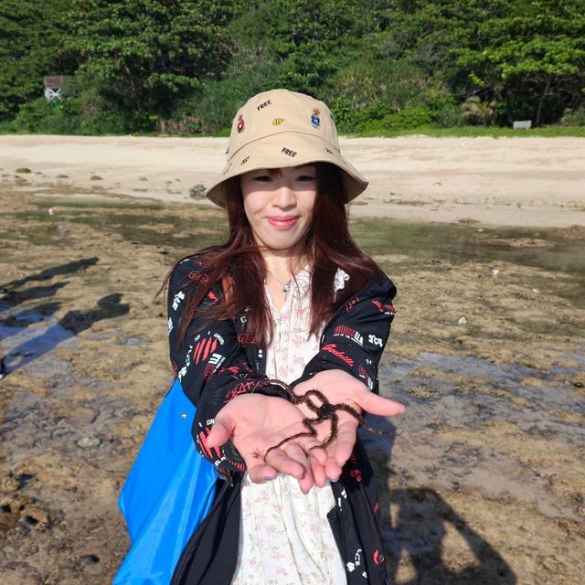 小琉球｜難忘的浮潛與美到不行的花瓶岩，匍匐前進的烏鬼洞