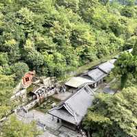 【京都】毎年夏に訪れるありがたい一日