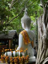 พิกัดสายมู อุทยานมหาราชท้าวเวสสุวรรณ 📍ม่อนกุเวร 