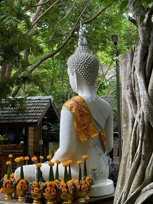 พิกัดสายมู อุทยานมหาราชท้าวเวสสุวรรณ 📍ม่อนกุเวร 