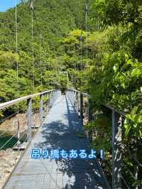 【三重 紀北町】三重の自然美 魚飛渓🏞✨