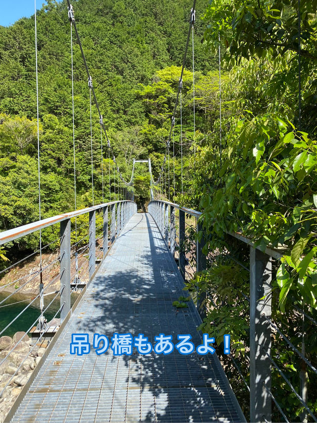 【三重 紀北町】三重の自然美 魚飛渓🏞✨