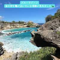 【バリ島】レンボンガン島 andチュニガン島観光1日のツアー