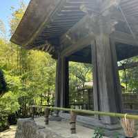 일본 가마쿠라 가볼만한 곳, 호코쿠지 🌳