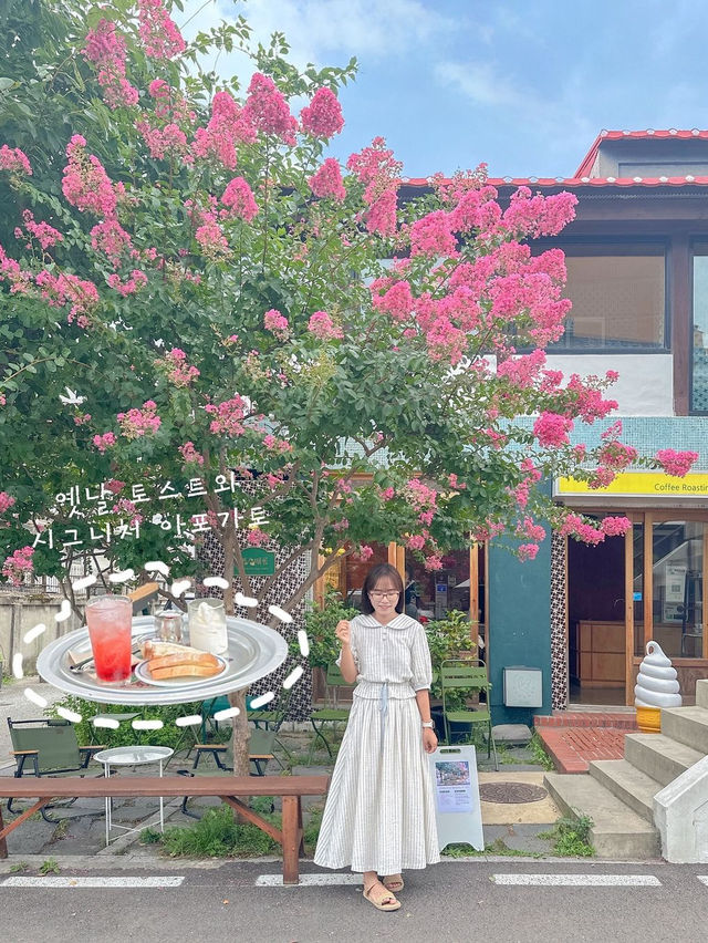 당일치기도 충분히 가능한 강릉여행! 이대로만 가보자고🩵