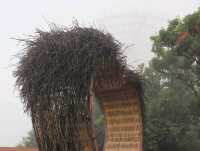 ภูเจ็ดดาว จางเจียเจี้ย