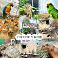 札幌北部野生動物園-動物近距離接觸，可能帶來危險的動物園