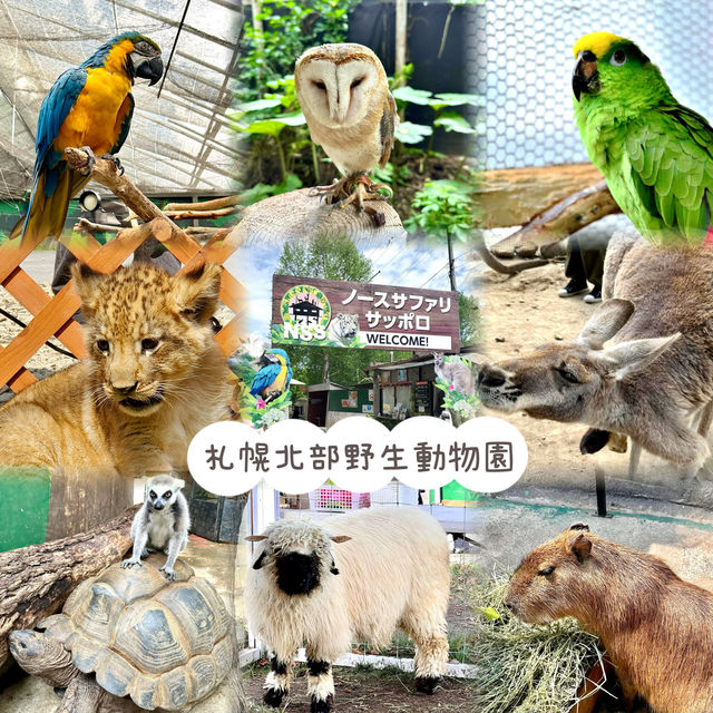 札幌北部野生動物園-動物近距離接觸，可能帶來危險的動物園