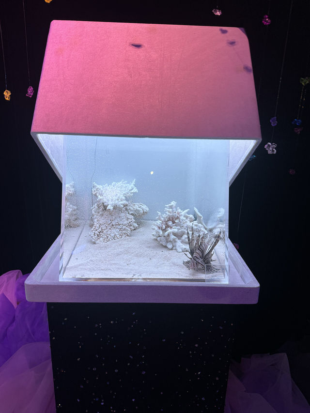 〜神奈川県〜デートはココで決まり！江ノ島水族館